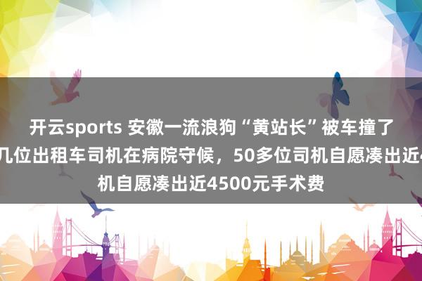 开云sports 安徽一流浪狗“黄站长”被车撞了作念手术，十几位出租车司机在病院守候，50多位司机自愿凑出近4500元手术费