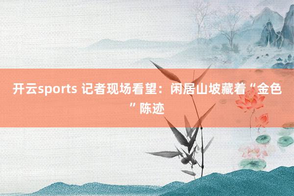 开云sports 记者现场看望：闲居山坡藏着“金色”陈迹