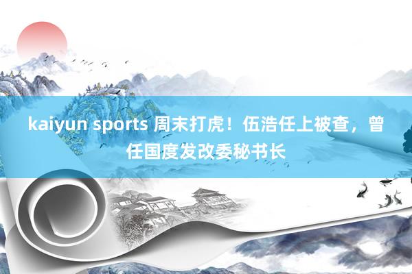 kaiyun sports 周末打虎！伍浩任上被查，曾任国度发改委秘书长