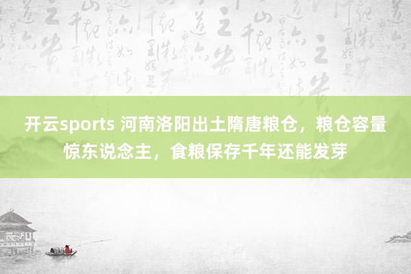 开云sports 河南洛阳出土隋唐粮仓，粮仓容量惊东说念主，食粮保存千年还能发芽